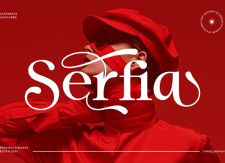 Serfia Font preview image 1