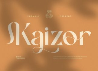 Kaizor Font preview image 1