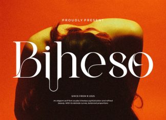 Biheso Font preview image 1