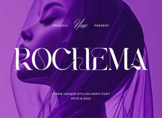 Rochema Font preview image 1