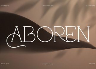 Aboren Font preview image 1