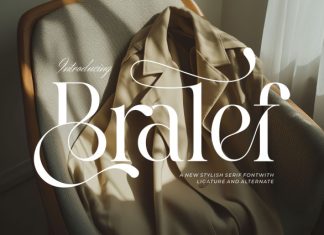 Bralef Font preview image 1