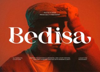 Bedisa Font preview image 1