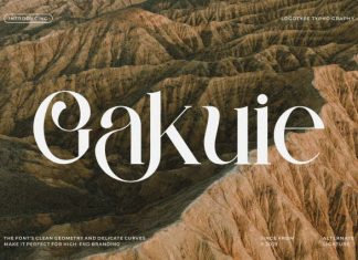 Gakuie Font preview image 1