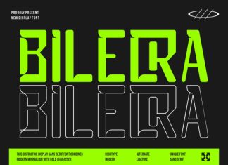 Bilecra Font preview image 1