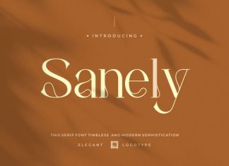 Sanely Font preview image 1