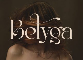 Belyga Font preview image 1