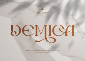 Demica Font preview image 1