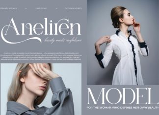 Chena Font preview image 2