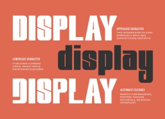 Rodeas Font preview image 2