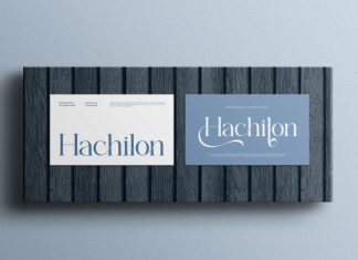 Chena Font preview image 3
