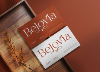 Glovia Font preview image 3