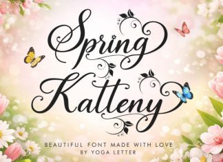 Spring Katteny Font preview image 1