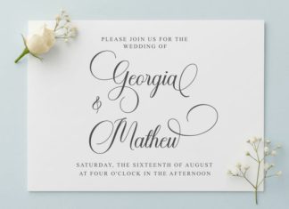 Alignment Script Font preview image 3