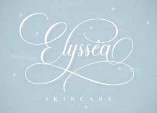 Alignment Script Font preview image 2