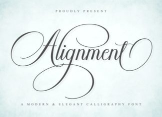 Alignment Script Font preview image 1