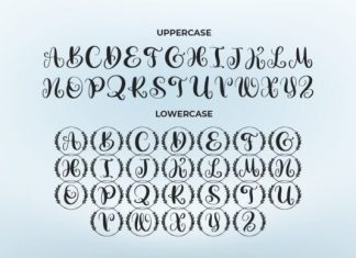 Amilie Font preview image 3