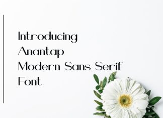 Anantap Font preview image 3
