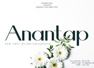 Anantap Font preview image 1