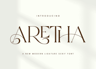 Aretha Font preview image 1