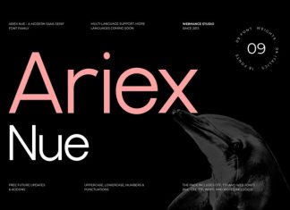 Ariex Nue Font preview image 1