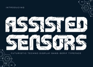 Assisted Sensors Font preview image 1