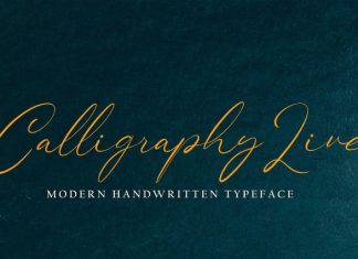 Authentipa Handwriting Font preview image 2