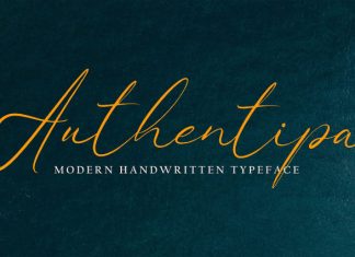 Authentipa Handwriting Font preview image 1