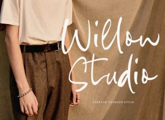 Barton Miles Script Font preview image 3