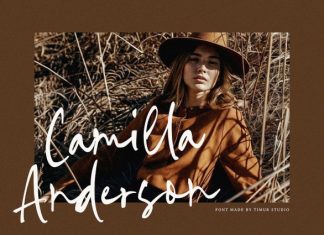 Barton Miles Script Font preview image 2