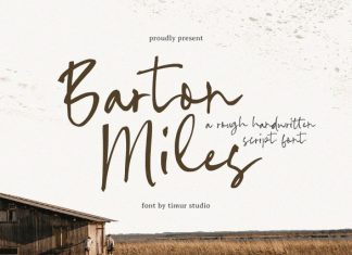 Barton Miles Script Font preview image 1