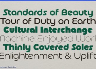 Basenji Font preview image 2