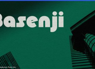 Basenji Font preview image 1