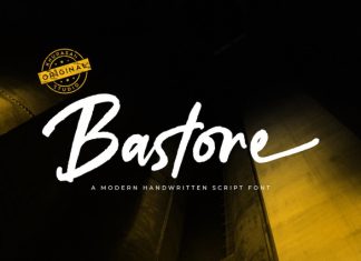 Bastore Script Font preview image 1