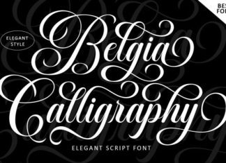 Belgia Calligraphy Font preview image 1