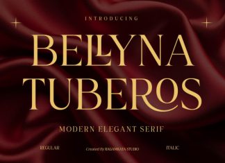Bellyna Tuberos Font preview image 1