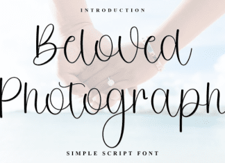 Beloved Photograph Script Font preview image 1