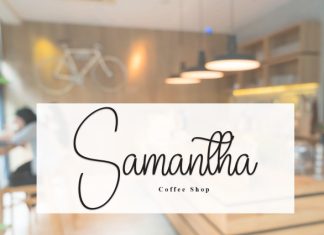 Berlina Signature Handwritten Font preview image 2