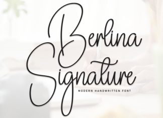 Berlina Signature Handwritten Font preview image 1