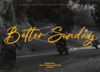 Better Sunday Script Font preview image 1