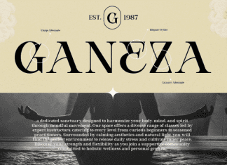 Bevola Font preview image 3