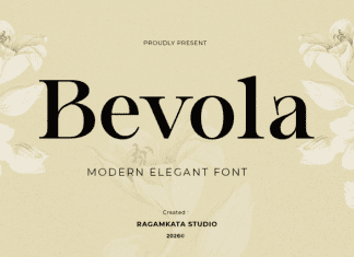 Bevola Font preview image 1