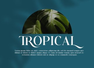 Bezoria Font preview image 2
