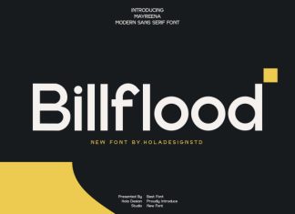 Billflood Font preview image 1