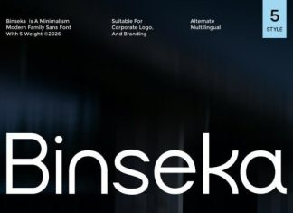 Binseka Font preview image 1
