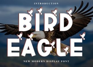 Bird Eagle Font preview image 1
