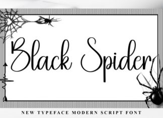 Black Spider Handwritten Font preview image 1