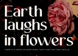Bloom Derma Font preview image 2