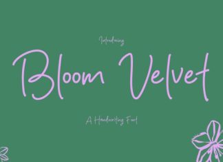 Bloom Velvet Font preview image 1