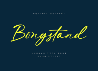 Bongstand Font preview image 1